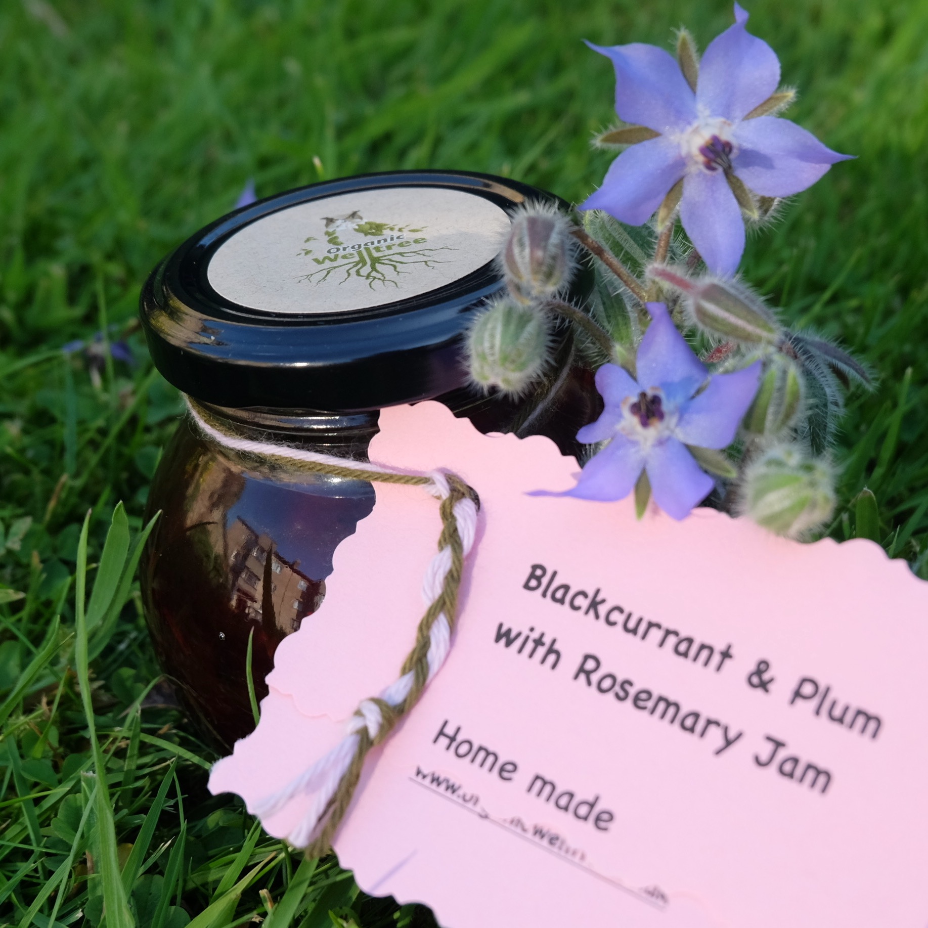 Blackcurrant & Plum with Rosemary (200g) 